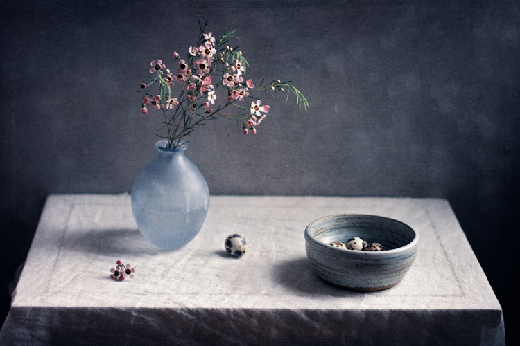 Still Life Fine Art Photography by Anna Nemoy