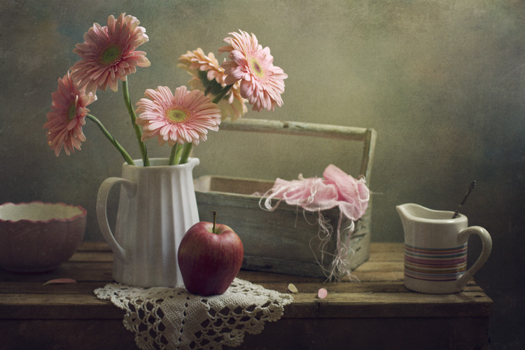 Still Life Fine Art Photography by Anna Nemoy