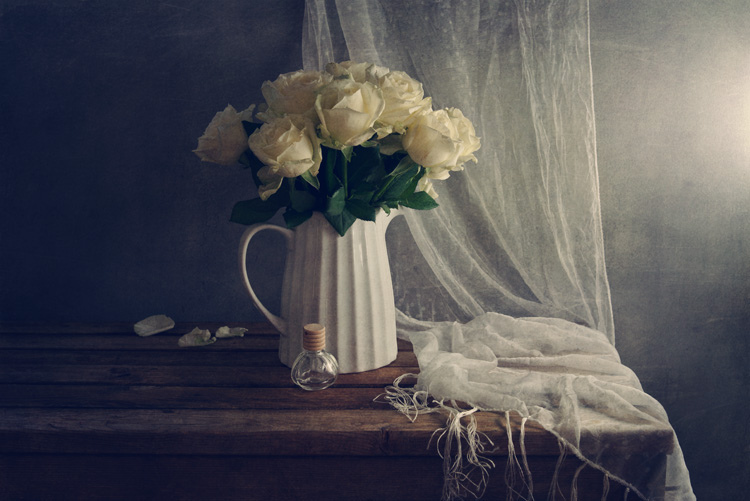 Still Life Fine Art Photography by Anna Nemoy