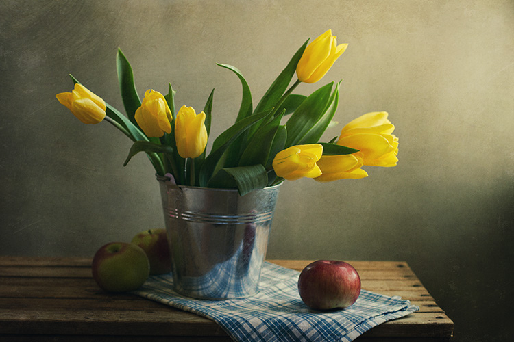 Still Life Fine Art Photography by Anna Nemoy