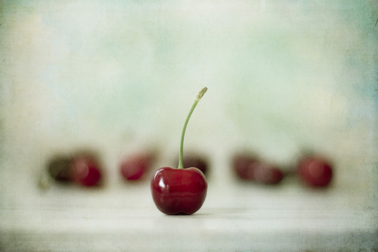 Still Life Fine Art Photography by Anna Nemoy