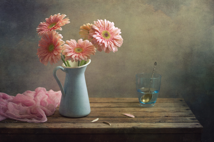 Still Life Fine Art Photography by Anna Nemoy