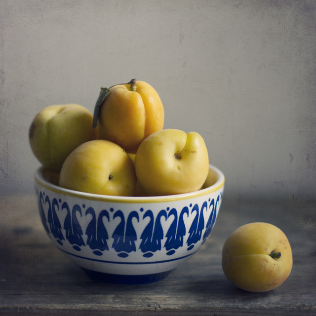 Still Life Fine Art Photography by Anna Nemoy