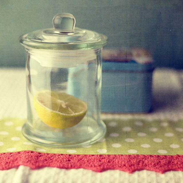 Still Life Fine Art Photography by Anna Nemoy