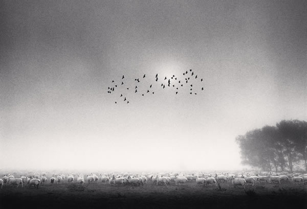 Michael Kenna - Inspiration from Masters of Photography