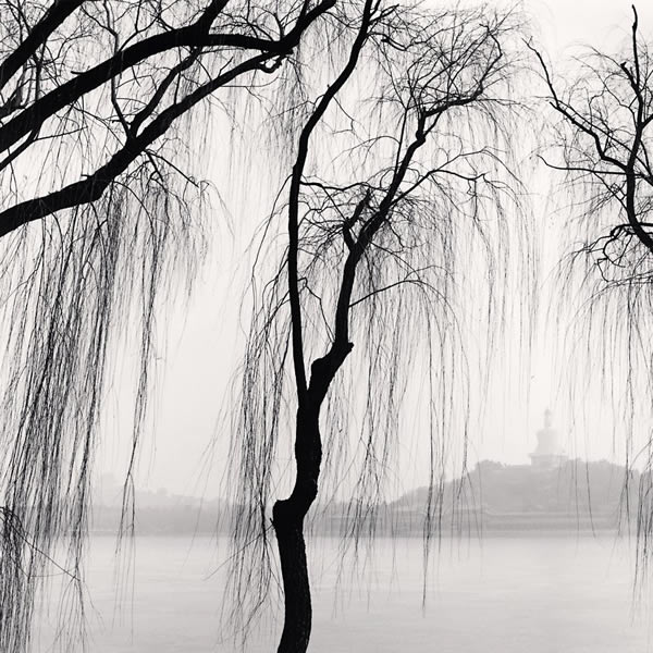Recent Prints by Michael Kenna
