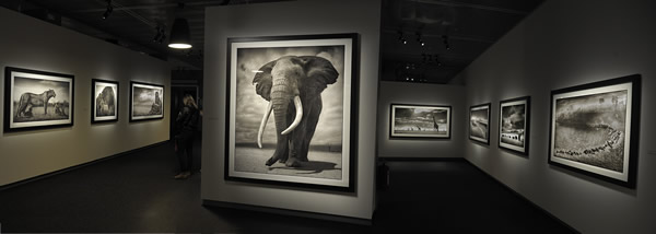 Nick Brandt - Inspiration from Masters of Photography 