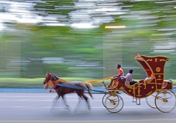 Everything about Aperture, Shutter Speed and Exposure