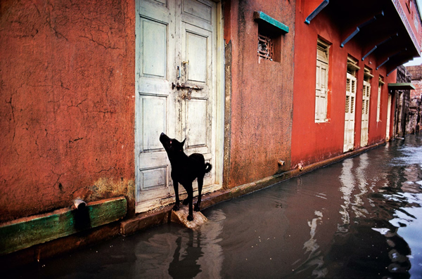 Steve McCurry - Inspiration from Masters of Photography