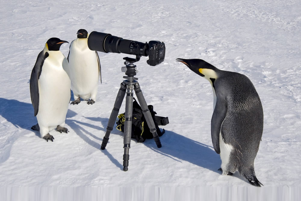 Amazing Landscape Photography by David C. Schultz
