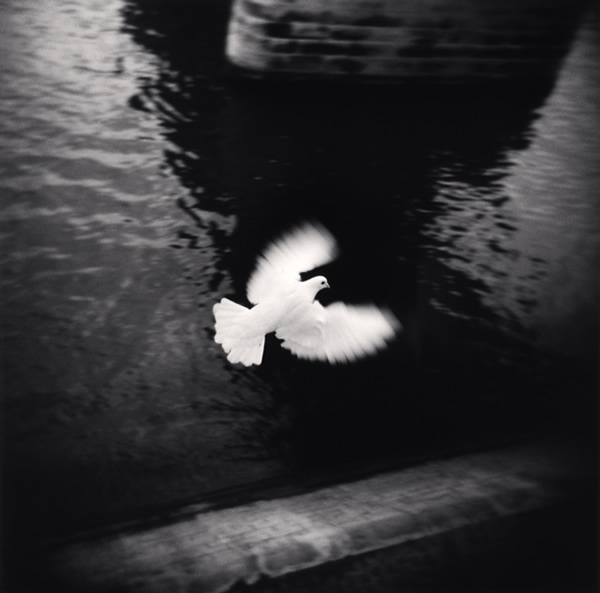 An Interview with Michael Kenna by Holga Direct