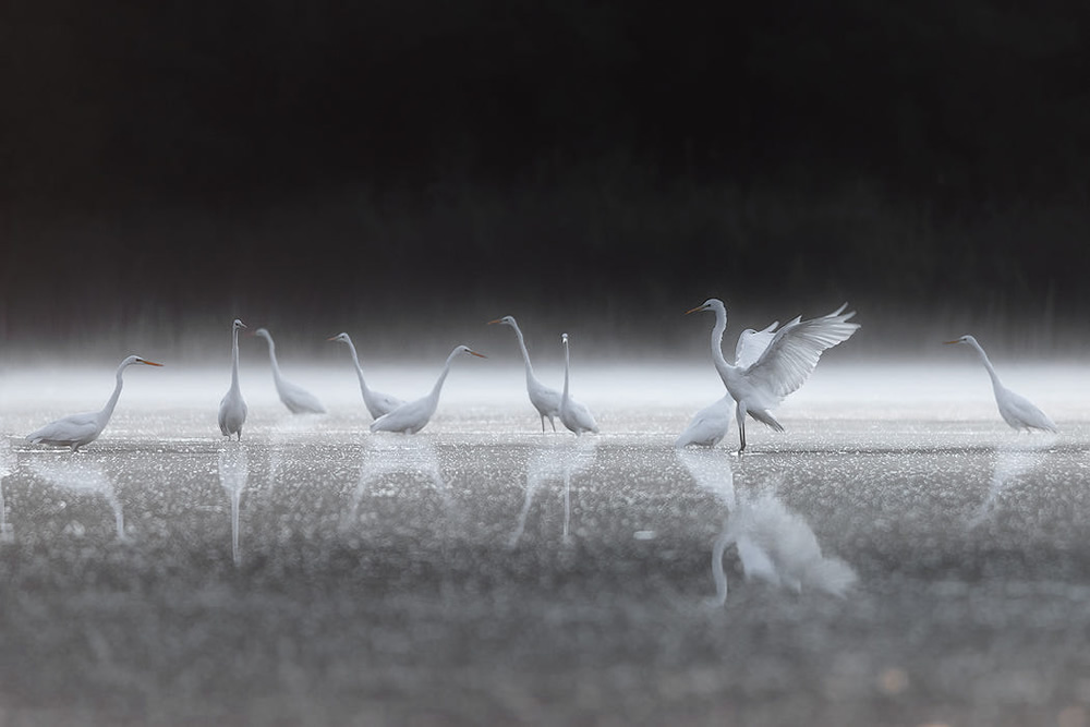 Artsy Landscape Photography by Marcin Sobas