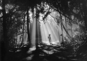 50 B&W Photographs which will tell you light is everything in photography