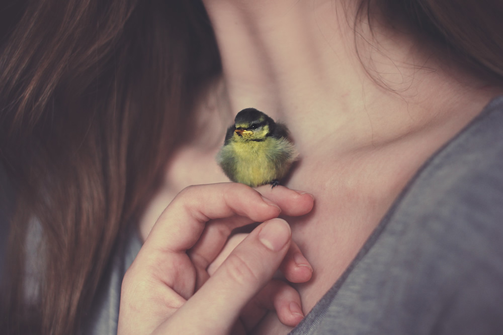 50 Things You Never Thought Of Picturing But Wait Someone Actually Did It!