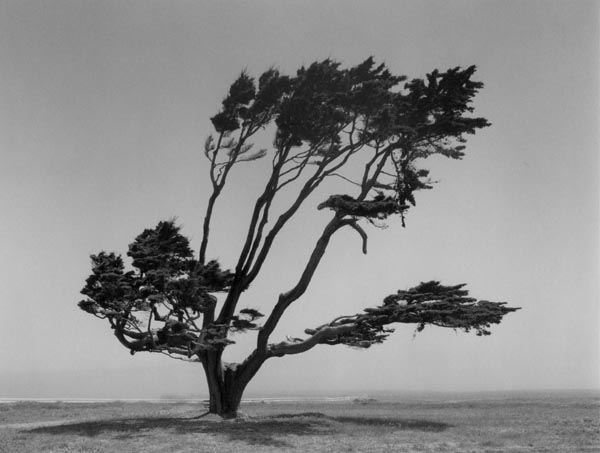 Mark Citret - Inspiration from Masters of Photography