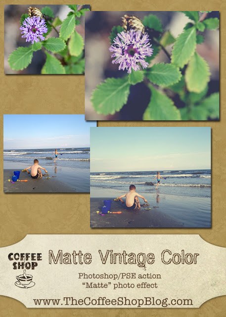 Vintage Matte Color