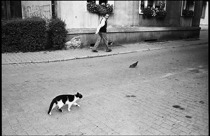 Przemek Strzelecki: Street Photographer from Poland