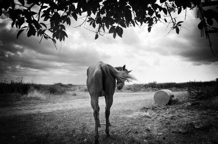 Stavros Stamatiou - Street Photographer from Greece