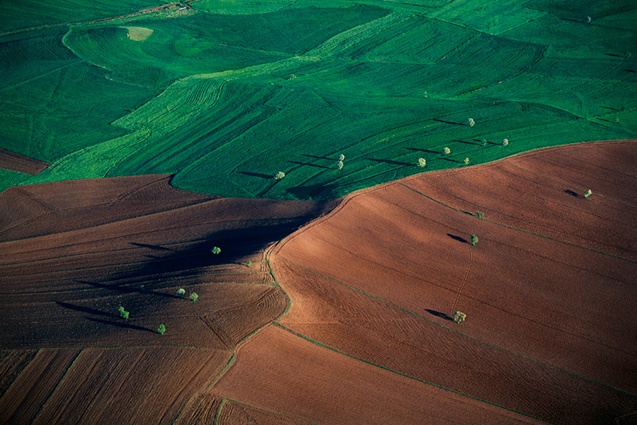 Yann Arthus-Bertrand - Inspiration from Masters of Photography