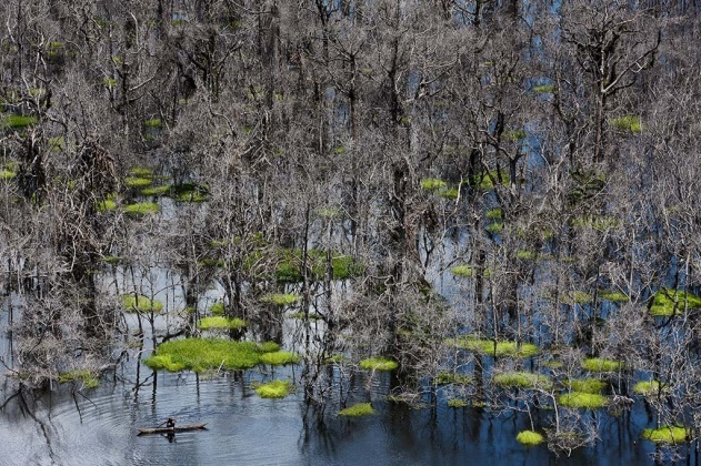 Yann Arthus-Bertrand - Inspiration from Masters of Photography