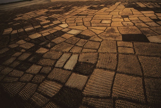 Yann Arthus-Bertrand - Inspiration from Masters of Photography