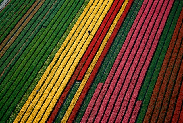 Yann Arthus-Bertrand - Inspiration from Masters of Photography