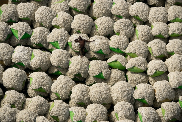 Yann Arthus-Bertrand - Inspiration from Masters of Photography