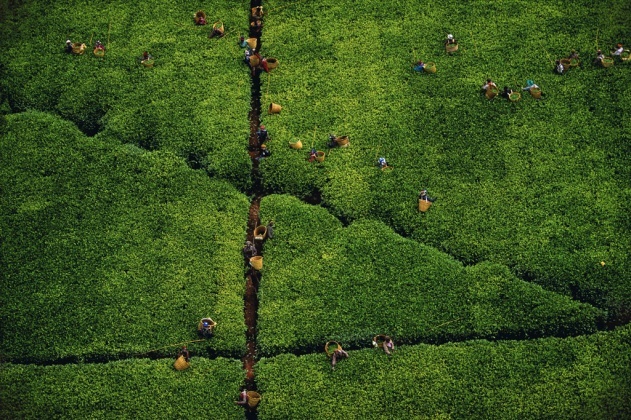 Yann Arthus-Bertrand - Inspiration from Masters of Photography