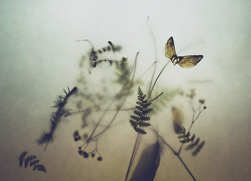 Feel the Springtime - Super soft photographs by Rachel Bellinsky