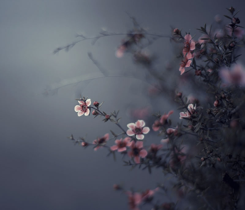 Feel the Springtime - Super soft photographs by Rachel Bellinsky