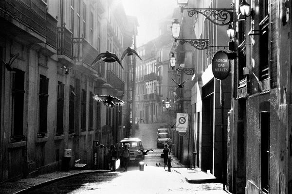 Street Moments by Rui Palha