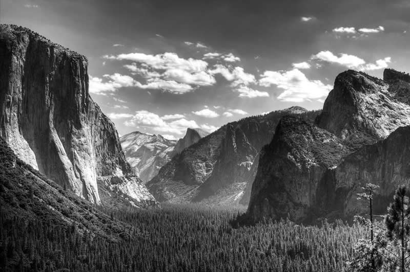 ansel adams paintings