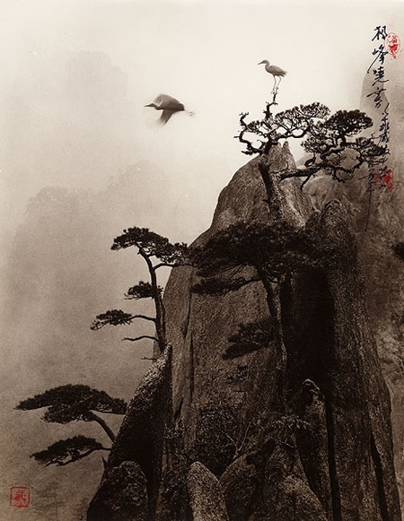 Don Hong-Oai - Inspiration from Masters of Photography