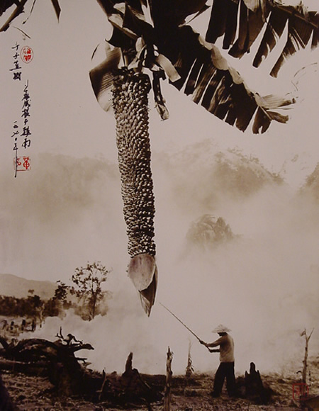 Don Hong-Oai - Inspiration from Masters of Photography