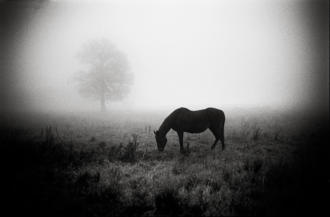 Jib Peter takes Pictures in B/W which will play games with your emotions