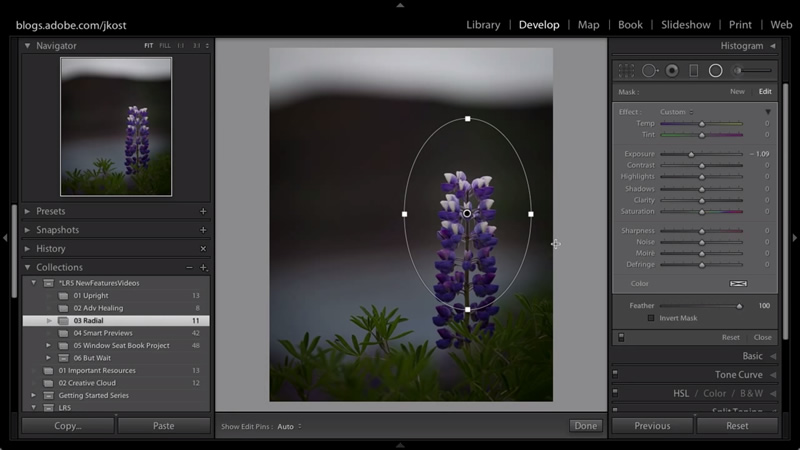 filters in lightroom