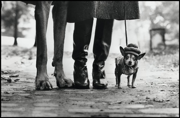 365 days with Elliott Erwitt