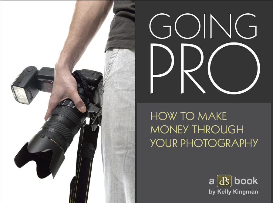 Going Pro - How to make money through your photography