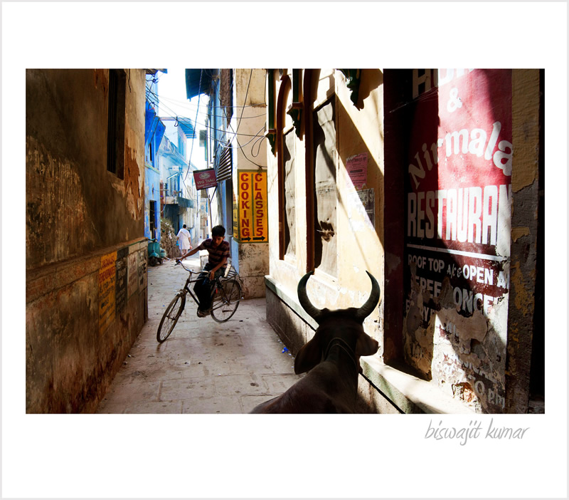Street Photography in India - 50 Stunning Color Photos
