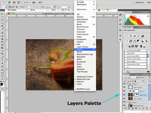 Introduction to Photoshop Layers