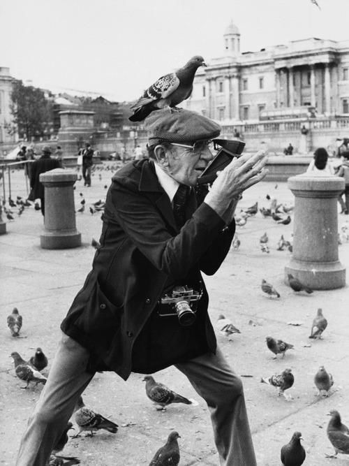 The Timeless Legacy of Master Photographer Shirley Baker