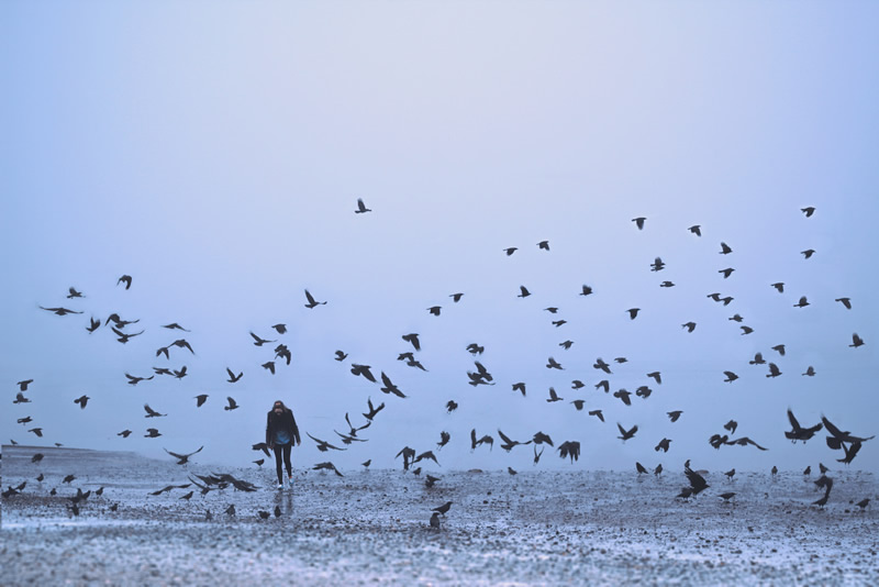 All alone in the most beautiful place on earth - Elizabeth Gadd and her stunning self-portraits