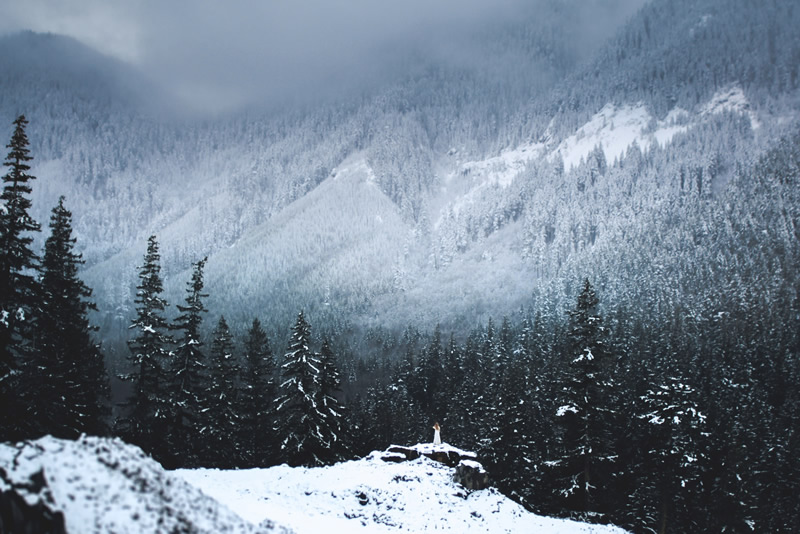 All alone in the most beautiful place on earth - Elizabeth Gadd and her stunning self-portraits