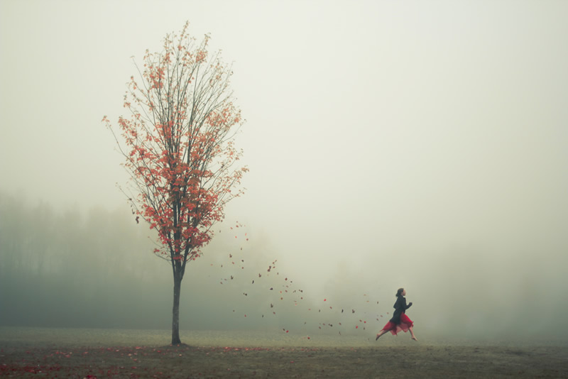 All alone in the most beautiful place on earth - Elizabeth Gadd and her stunning self-portraits