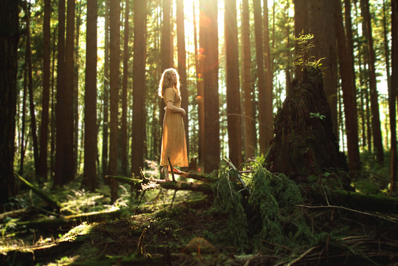 All alone in the most beautiful place on earth - Elizabeth Gadd and her stunning self-portraits