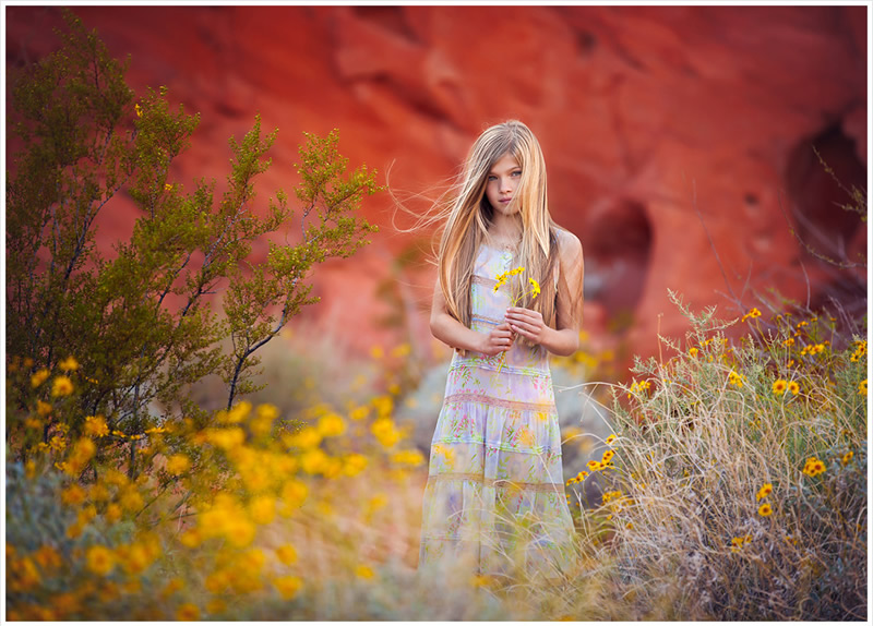 New Born and Children Portrait Photography by Lisa Holloway