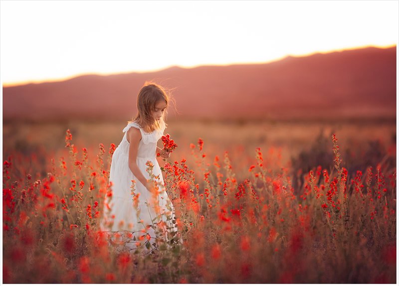 Cuteness Overloaded - Brilliant Kids photography by Lisa Holloway