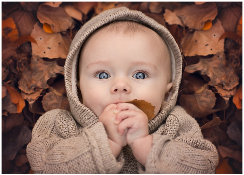 New Born and Children Portrait Photography by Lisa Holloway