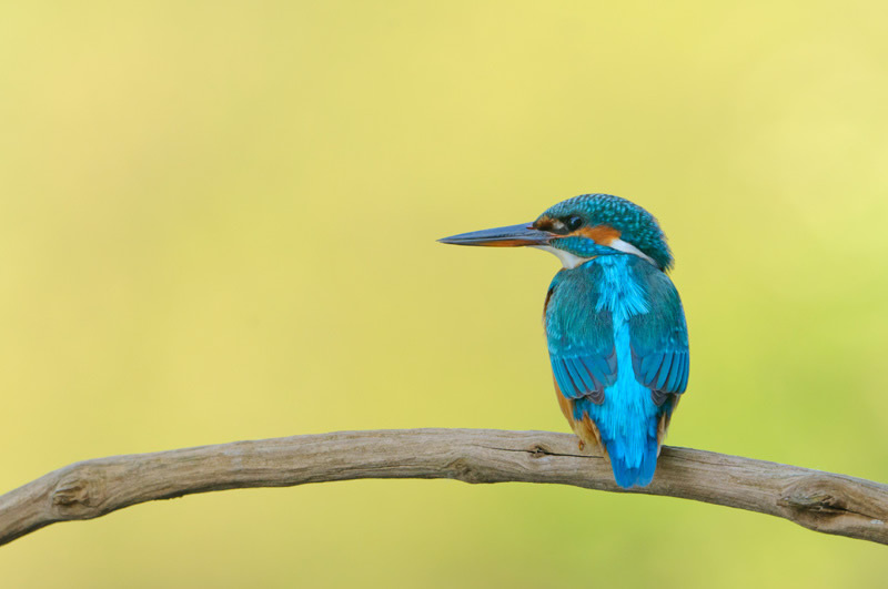 Mesmerizing Nature Photography by Luuk Belgers