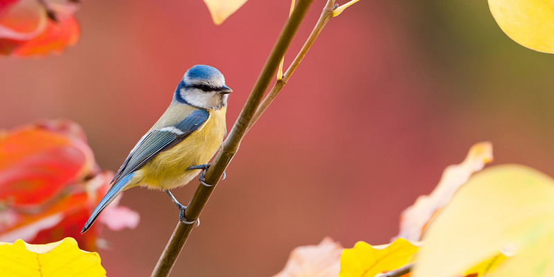 Mesmerizing Nature Photography by Luuk Belgers